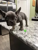 processed/28bb6a83-57e7-4b3a-a777-55b349ecc4e7/listing/71567367-986f-43ee-99e0-f509400baa88/27ceb1ca-3a84-430a-a90b-6b7d13dd40b4