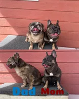 processed/28bb6a83-57e7-4b3a-a777-55b349ecc4e7/listing/71567367-986f-43ee-99e0-f509400baa88/3141a288-6001-4e76-920b-4b6b4790c5f3