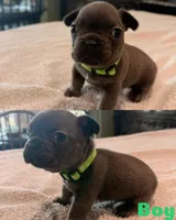 processed/28bb6a83-57e7-4b3a-a777-55b349ecc4e7/listing/71567367-986f-43ee-99e0-f509400baa88/73c6c8c3-8d1e-4baf-82d8-8d1710c8bc7f