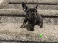 processed/28bb6a83-57e7-4b3a-a777-55b349ecc4e7/listing/71567367-986f-43ee-99e0-f509400baa88/b0f124b3-b3f7-4b18-a464-2c0c13558677