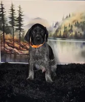 processed/28c334ca-9b1d-49e4-a30f-e99a6f63a1ac/listing/49e4d150-484e-4748-b68f-8d97494f4186/35801de6-99ab-4ceb-93ae-7cd6e643f949