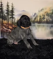 processed/28c334ca-9b1d-49e4-a30f-e99a6f63a1ac/listing/49e4d150-484e-4748-b68f-8d97494f4186/7958b1ab-2c5e-4b49-acfa-6096682b59fb