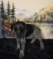 processed/28c334ca-9b1d-49e4-a30f-e99a6f63a1ac/listing/49e4d150-484e-4748-b68f-8d97494f4186/fae318b6-9260-4d87-83da-8f248c5bb0ad