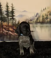 processed/28c334ca-9b1d-49e4-a30f-e99a6f63a1ac/listing/77583652-47a4-4bdc-a8d8-3bfad445a36e/1804906a-40ff-4430-a775-2b45593ba591