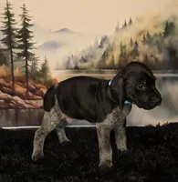 processed/28c334ca-9b1d-49e4-a30f-e99a6f63a1ac/listing/77583652-47a4-4bdc-a8d8-3bfad445a36e/a71060e1-78f6-4dd0-8325-0c48a71ed853