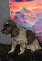 processed/28c334ca-9b1d-49e4-a30f-e99a6f63a1ac/listing/78f04075-17fb-4fe9-a25b-3b638328eebe/8a78be91-cdd6-4e26-99af-a3ac979fc48c