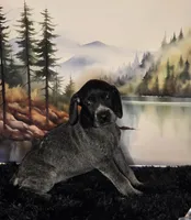 processed/28c334ca-9b1d-49e4-a30f-e99a6f63a1ac/listing/8ef1be25-b0d6-4146-9d5e-96a8aa79a6b5/010002f4-3071-4790-a5a8-d08f8b35a9fc