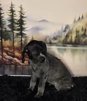 processed/28c334ca-9b1d-49e4-a30f-e99a6f63a1ac/listing/8ef1be25-b0d6-4146-9d5e-96a8aa79a6b5/a0b952a1-b530-400d-81bd-29ab95c1c640