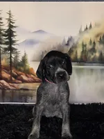 processed/28c334ca-9b1d-49e4-a30f-e99a6f63a1ac/listing/8ef1be25-b0d6-4146-9d5e-96a8aa79a6b5/a37e99fd-4966-4123-a54a-5fa91d42af59