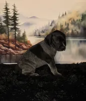 processed/28c334ca-9b1d-49e4-a30f-e99a6f63a1ac/listing/b0b623be-f816-41e0-8b8b-9796259099f8/3d8ebe39-9782-4faf-a0f1-051108f7188e