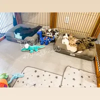 processed/28c46179-4d71-4ed3-84fe-56f4056cc3af/facility/2c4e4921-f699-4552-bf6b-aed50d3ac828