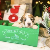 processed/28c46179-4d71-4ed3-84fe-56f4056cc3af/facility/2e6c1aa7-7b53-40db-ad6c-afabf400bd6d