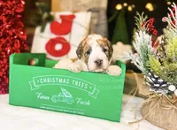 processed/28c46179-4d71-4ed3-84fe-56f4056cc3af/facility/2e6c1aa7-7b53-40db-ad6c-afabf400bd6d