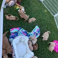 processed/28c46179-4d71-4ed3-84fe-56f4056cc3af/facility/985d4d13-69b8-4270-9f21-2b45b2018325