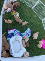 processed/28c46179-4d71-4ed3-84fe-56f4056cc3af/facility/985d4d13-69b8-4270-9f21-2b45b2018325