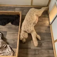 processed/28c46179-4d71-4ed3-84fe-56f4056cc3af/facility/c6eeafd2-8288-4ccc-a6d4-de5e0c3775b5