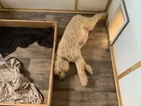 processed/28c46179-4d71-4ed3-84fe-56f4056cc3af/facility/c6eeafd2-8288-4ccc-a6d4-de5e0c3775b5