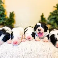 processed/28c46179-4d71-4ed3-84fe-56f4056cc3af/facility/f416e0c6-fb26-4816-a5fa-8ef131f2a1fd