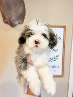 processed/28c46179-4d71-4ed3-84fe-56f4056cc3af/listing/717fe2a2-9d77-44a6-b0ba-a0d5c7caf8be/11bf23f1-2b6a-4631-b8dd-a42e192c7898