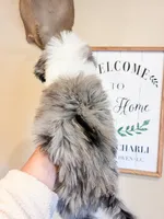 processed/28c46179-4d71-4ed3-84fe-56f4056cc3af/listing/717fe2a2-9d77-44a6-b0ba-a0d5c7caf8be/1dacad28-1bc7-4df0-859e-01dce9afbbd6