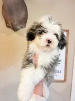 processed/28c46179-4d71-4ed3-84fe-56f4056cc3af/listing/717fe2a2-9d77-44a6-b0ba-a0d5c7caf8be/e65f7759-b100-463d-97fa-a239d6800102