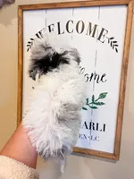 processed/28c46179-4d71-4ed3-84fe-56f4056cc3af/listing/8253c973-2156-4c69-841e-c540f59354c3/4264466c-b1eb-4e82-a896-844eb7592907