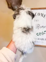 processed/28c46179-4d71-4ed3-84fe-56f4056cc3af/listing/99535eb8-ee93-4ecd-a1fa-aa878312c657/a6f7c316-1d5d-4580-87a0-e25c71a48747