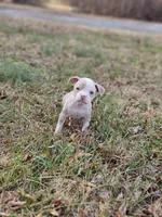 processed/28c87bba-b350-4f77-bafe-df153b8cb22a/listing/1a487a9c-5606-4679-84d2-ccbce1e8f87d/45e80099-5967-480c-9fcf-4c3c615f1998