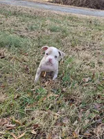 processed/28c87bba-b350-4f77-bafe-df153b8cb22a/listing/1a487a9c-5606-4679-84d2-ccbce1e8f87d/bb2170ba-2bb2-49c9-a214-8a250c26e4d6