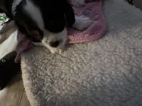 processed/28dda74b-8a2b-4f96-81a7-b34a8bb23b28/listing/0e74d153-1dbe-4f58-a31d-f2e62da1760b/9d1ef950-b2d9-4b5a-9f6e-e9edc6c7e8f5