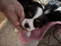 processed/28dda74b-8a2b-4f96-81a7-b34a8bb23b28/listing/0e74d153-1dbe-4f58-a31d-f2e62da1760b/b97fa81f-9a05-422f-9cee-6e43d5e7e6d9