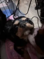 processed/28dda74b-8a2b-4f96-81a7-b34a8bb23b28/listing/1e54328f-5146-48e5-95ec-0f03d81afb2b/88014705-7bcd-4240-9b26-e37c10ba7d80