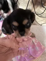 processed/28dda74b-8a2b-4f96-81a7-b34a8bb23b28/listing/1e54328f-5146-48e5-95ec-0f03d81afb2b/9d04eb1a-a32d-4914-9f74-c36d1d1af438