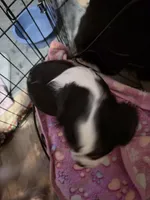 processed/28dda74b-8a2b-4f96-81a7-b34a8bb23b28/listing/6d6bbf5f-eb3a-46f1-9c9d-edd64e4f3c71/415b2663-1df5-4094-84ca-a4c380c2d0ad