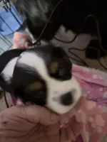 processed/28dda74b-8a2b-4f96-81a7-b34a8bb23b28/listing/6d6bbf5f-eb3a-46f1-9c9d-edd64e4f3c71/a96251d6-ca48-486c-ac19-259cbfb6bff2