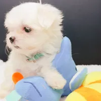 processed/28e3bb04-5c7f-4187-b4e9-479bde1da76b/facility/249fb363-148d-42ec-ba00-c3a317dc634a