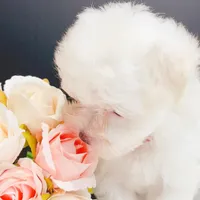 processed/28e3bb04-5c7f-4187-b4e9-479bde1da76b/facility/5ba19108-a54d-4e1c-98c1-552ad905b88a