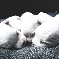 processed/28e3bb04-5c7f-4187-b4e9-479bde1da76b/facility/73f3a09f-4659-4b9d-9561-a73324b892da