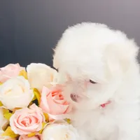 processed/28e3bb04-5c7f-4187-b4e9-479bde1da76b/facility/7b2b0205-fba6-4a39-b518-443e6f4c4e8e