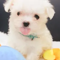 processed/28e3bb04-5c7f-4187-b4e9-479bde1da76b/facility/a1f1fc6c-dd7f-439d-88a6-f12c8864d035