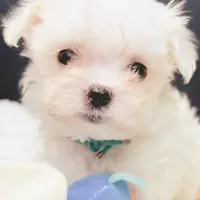 processed/28e3bb04-5c7f-4187-b4e9-479bde1da76b/facility/a81d1abe-2216-454f-afde-910e605a493c