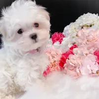 processed/28e3bb04-5c7f-4187-b4e9-479bde1da76b/facility/b45665f9-8001-4477-87e9-93c90ef10fd2