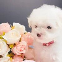 processed/28e3bb04-5c7f-4187-b4e9-479bde1da76b/facility/e4c3fc5e-e0c2-4829-9108-95f12a058967