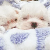 processed/28e3bb04-5c7f-4187-b4e9-479bde1da76b/facility/f604669a-448a-4932-b4e6-4b260eca7207