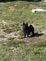 processed/28e51e50-8870-45dd-ae6d-7406ca09f766/listing/6f636107-61d8-4352-8dc3-09a81629dacc/c0a3d976-356a-4b97-b978-4595c3a8d28c