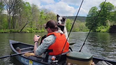 Bodie (Rehoming), a female Border Collie for sale in Kersey, PA – 3 of 3