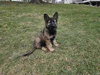 processed/28ee1580-f9a3-45c3-8548-6b6a1fc1a487/facility/15f5b518-2c4a-4556-97c5-bdb10f5120b7