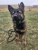 processed/28ee1580-f9a3-45c3-8548-6b6a1fc1a487/facility/7e0a08d1-fb8e-4c03-aae6-c2e52e745d45