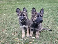 processed/28ee1580-f9a3-45c3-8548-6b6a1fc1a487/facility/84a6bb2f-6e6c-444b-9cea-9b9c5c01be6f