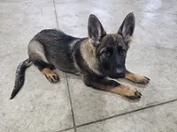 processed/28ee1580-f9a3-45c3-8548-6b6a1fc1a487/facility/cf24ea6a-60b5-4b03-9c9e-29eeeea59ce7